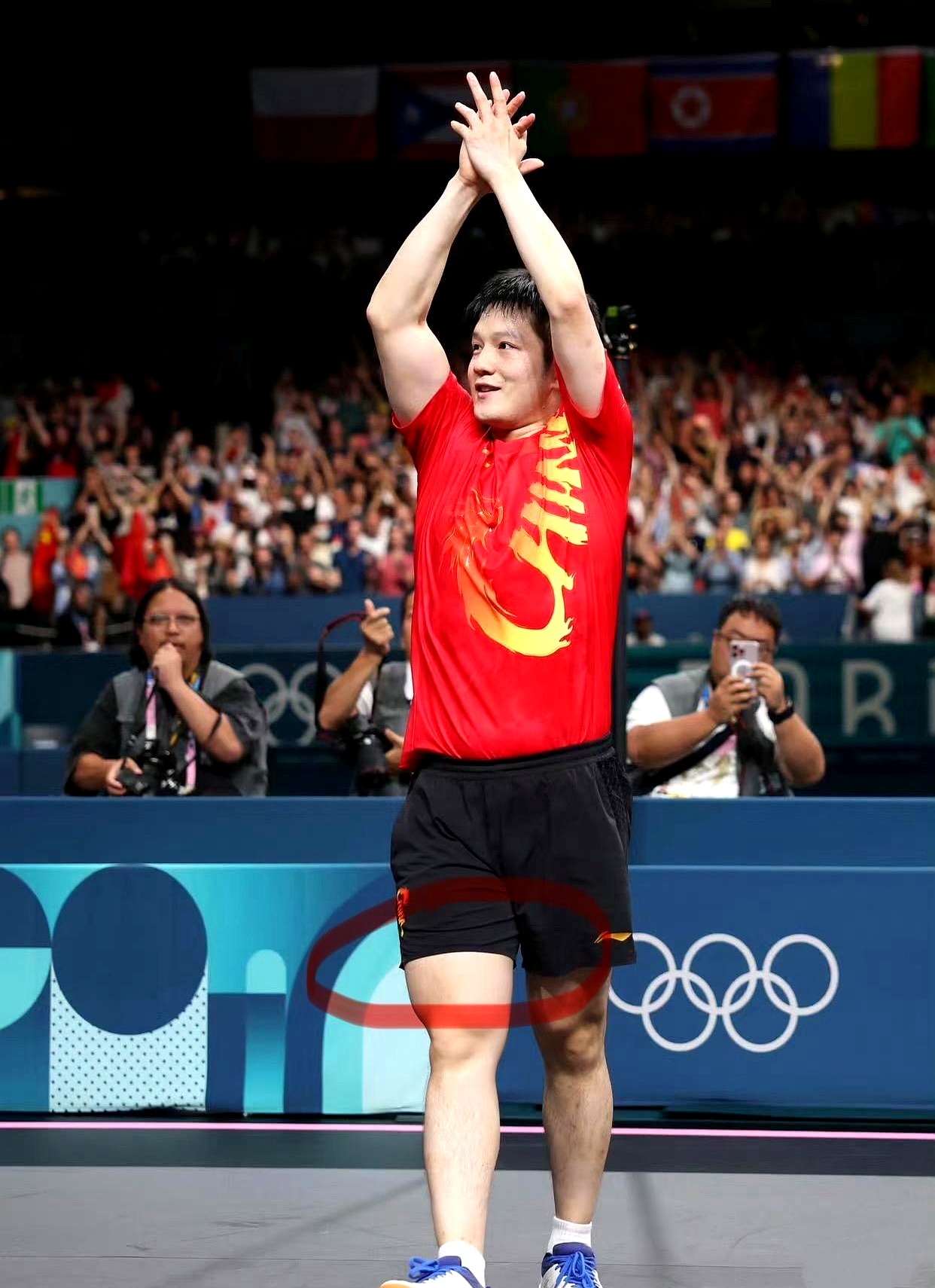 奥地利队轻取波兰队,樊振东高光表现 奥地利队轻取波兰队,樊振东高光表现