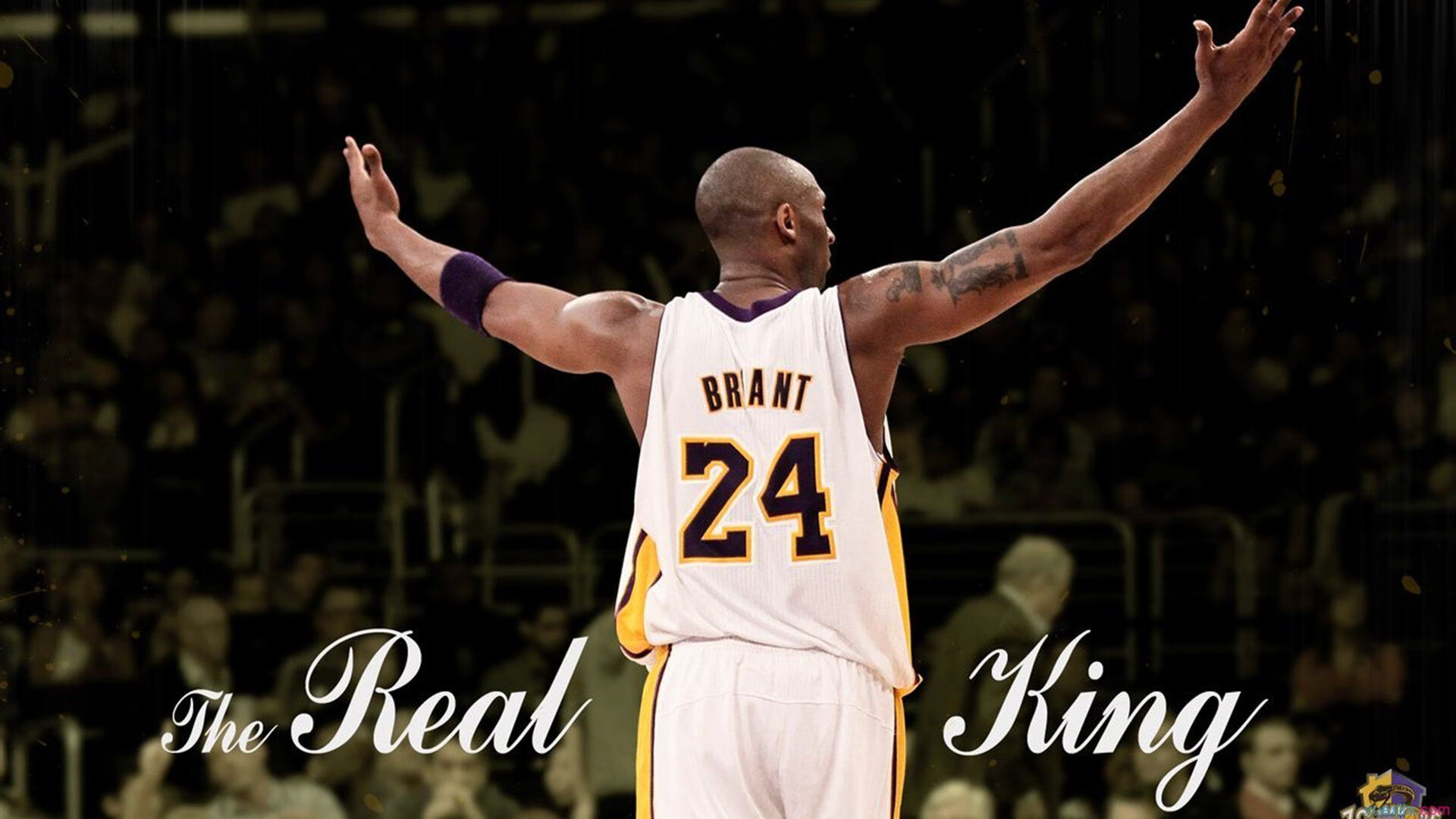 雷速体育入口-草原狼与风城牛，当爱德华兹的稳定脉搏，掐住了公牛的节奏咽喉